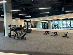 Solaris @tai Seng (D19), Factory #437767081